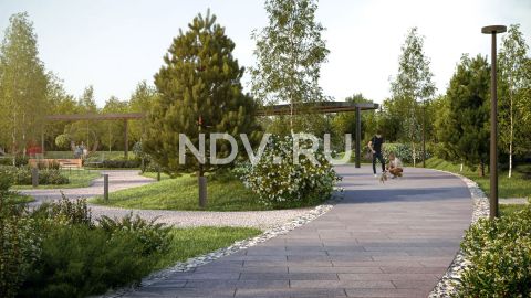 Dog friendly: как лояльная среда для животных меняет человеческое комьюнити